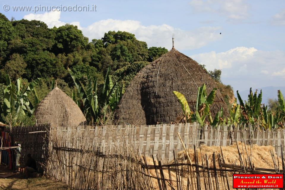 Ethiopia - Wolayta e la falsa banana - 1.jpg